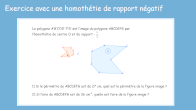 homothtie de rapport ngatif en vidos